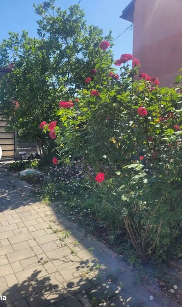 Sector 4, Bucuresti.